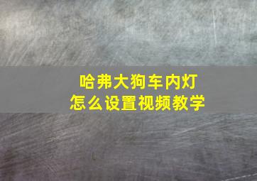 哈弗大狗车内灯怎么设置视频教学