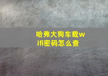 哈弗大狗车载wifi密码怎么查