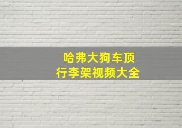 哈弗大狗车顶行李架视频大全