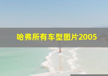 哈弗所有车型图片2005