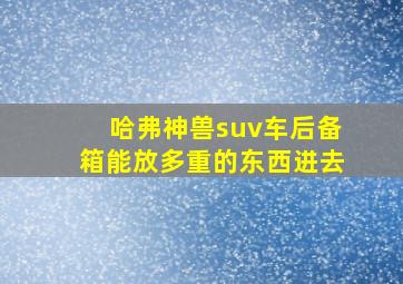 哈弗神兽suv车后备箱能放多重的东西进去