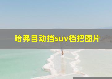 哈弗自动挡suv档把图片