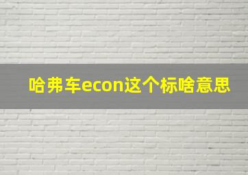 哈弗车econ这个标啥意思