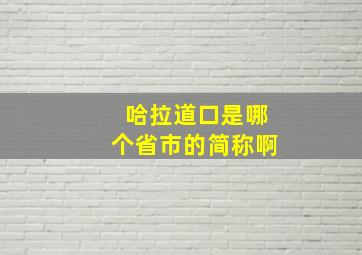 哈拉道口是哪个省市的简称啊