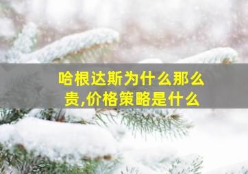 哈根达斯为什么那么贵,价格策略是什么