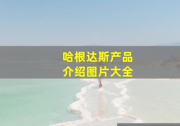 哈根达斯产品介绍图片大全