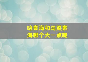 哈素海和乌梁素海哪个大一点呢