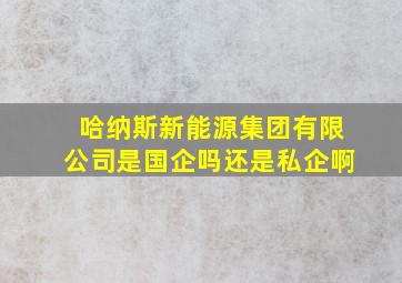 哈纳斯新能源集团有限公司是国企吗还是私企啊