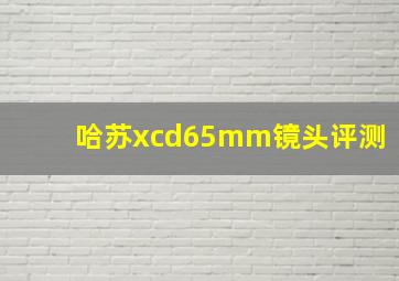 哈苏xcd65mm镜头评测