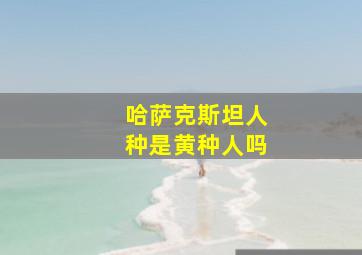 哈萨克斯坦人种是黄种人吗