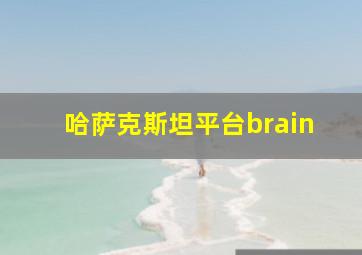 哈萨克斯坦平台brain