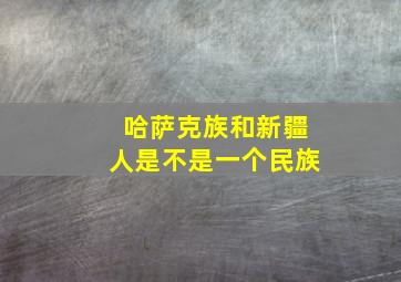 哈萨克族和新疆人是不是一个民族