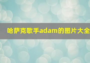 哈萨克歌手adam的图片大全