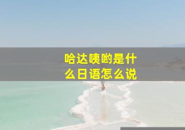 哈达咦哟是什么日语怎么说