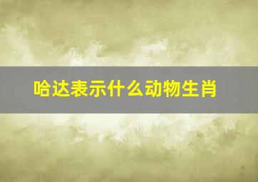 哈达表示什么动物生肖