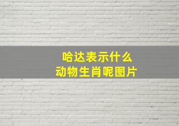 哈达表示什么动物生肖呢图片