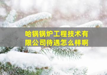 哈锅锅炉工程技术有限公司待遇怎么样啊