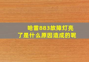 哈雷883故障灯亮了是什么原因造成的呢