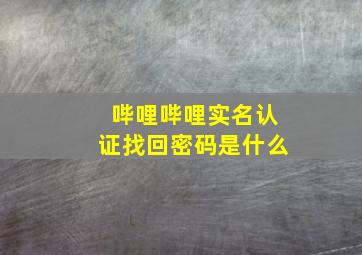 哔哩哔哩实名认证找回密码是什么