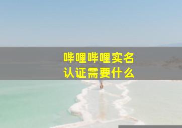 哔哩哔哩实名认证需要什么