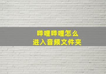 哔哩哔哩怎么进入音频文件夹