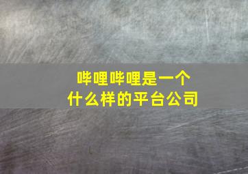 哔哩哔哩是一个什么样的平台公司