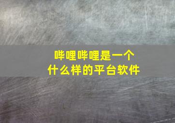 哔哩哔哩是一个什么样的平台软件