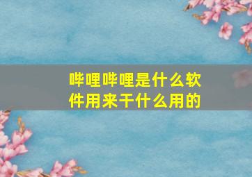 哔哩哔哩是什么软件用来干什么用的