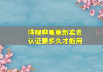 哔哩哔哩重新实名认证要多久才能用