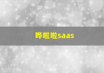 哗啦啦saas