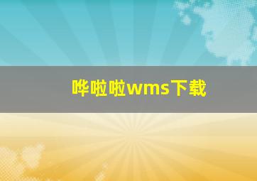 哗啦啦wms下载