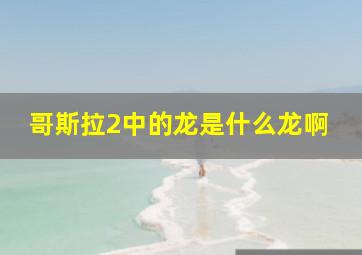 哥斯拉2中的龙是什么龙啊