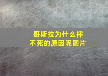 哥斯拉为什么摔不死的原因呢图片