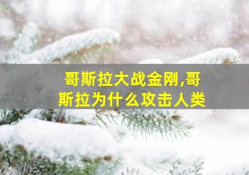 哥斯拉大战金刚,哥斯拉为什么攻击人类