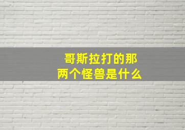 哥斯拉打的那两个怪兽是什么