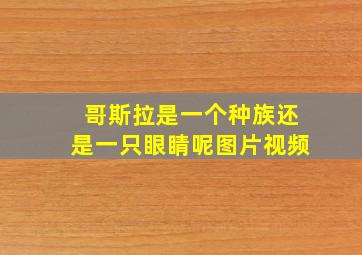 哥斯拉是一个种族还是一只眼睛呢图片视频