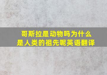 哥斯拉是动物吗为什么是人类的祖先呢英语翻译