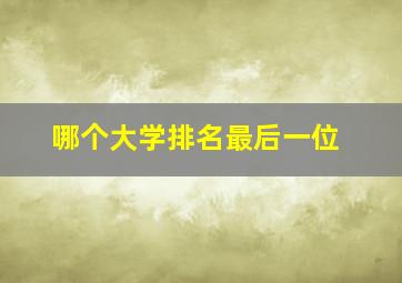 哪个大学排名最后一位