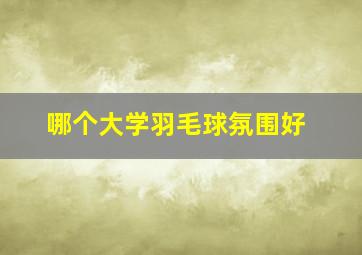 哪个大学羽毛球氛围好