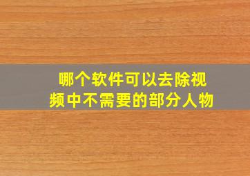 哪个软件可以去除视频中不需要的部分人物