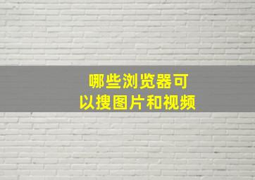 哪些浏览器可以搜图片和视频