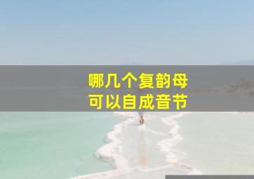 哪几个复韵母可以自成音节