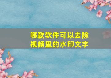 哪款软件可以去除视频里的水印文字