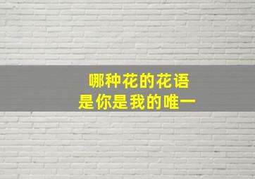 哪种花的花语是你是我的唯一