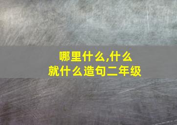 哪里什么,什么就什么造句二年级