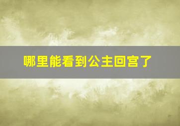 哪里能看到公主回宫了