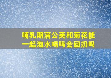 哺乳期蒲公英和菊花能一起泡水喝吗会回奶吗