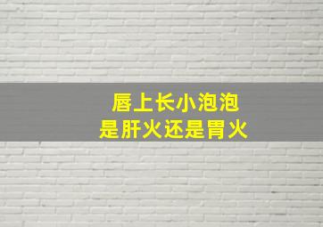 唇上长小泡泡是肝火还是胃火