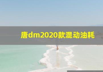 唐dm2020款混动油耗