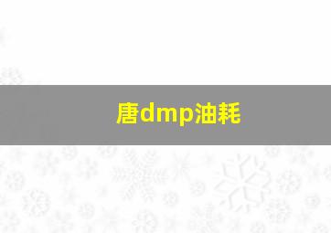 唐dmp油耗